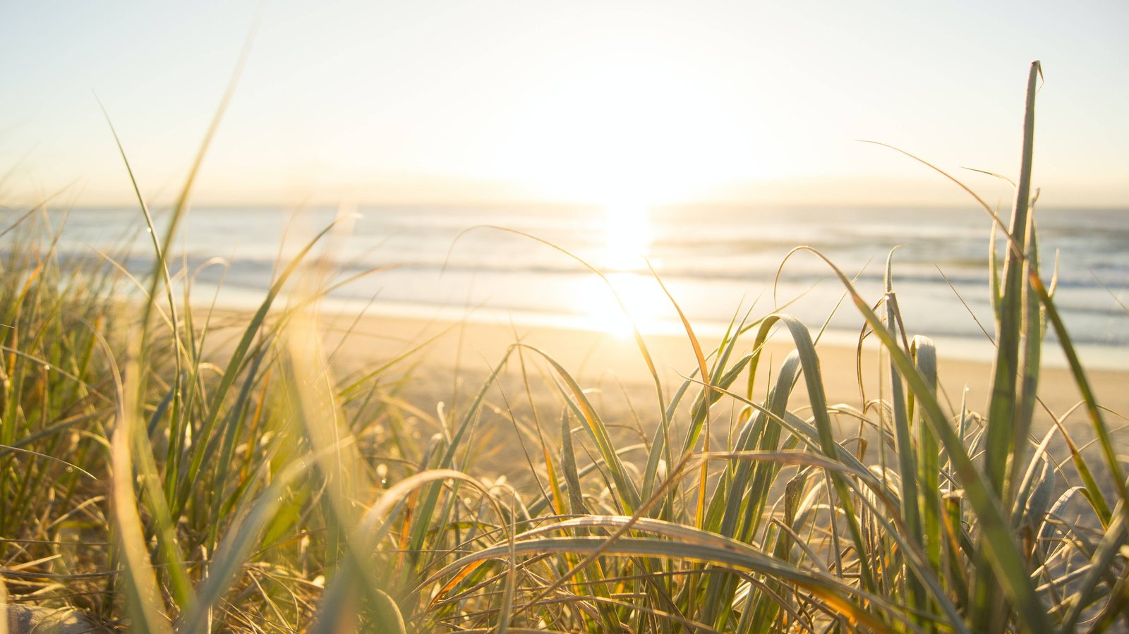 COVID-19 update: insights for this year's summer season